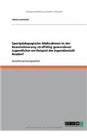 Sportpädagogische Maßnahmen in der Resozialisierung straffällig gewordener Jugendlicher am Beispiel der Jugendanstalt Rosdorf
