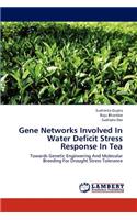 Gene Networks Involved in Water Deficit Stress Response in Tea