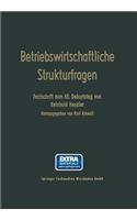 Betriebswirtschaftliche Strukturfragen