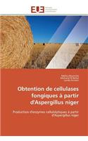 Obtention de Cellulases Fongiques À Partir d'Aspergillus Niger