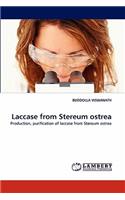 Laccase from Stereum Ostrea