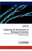 Exploring the Mechanism of Biological Evolution