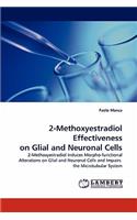 2-Methoxyestradiol Effectiveness on Glial and Neuronal Cells