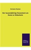 tausendjährige Rosenstock am Dome zu Hildesheim