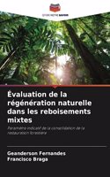 Évaluation de la régénération naturelle dans les reboisements mixtes