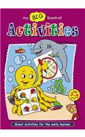 Big Activity Books