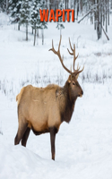 Wapiti