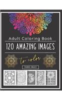 Adult Coloring Book
