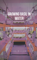 Growing Basil In Water: The Ultimate Beginners Guide to Building a Hydroponic System