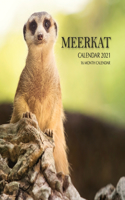Meerkat Calendar 2021: 16 Month Calendar