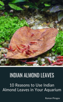 Indian Almond Leaves