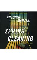 Spring Cleaning: A Novel