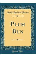 Plum Bun (Classic Reprint)