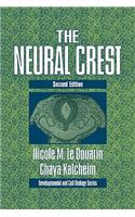 Neural Crest