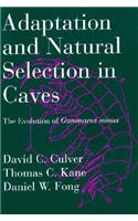 Adaptation and Natural Selection in Caves