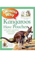 I Wonder Why Kangaroos Have Pouches