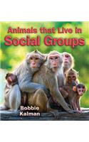 Animals that Live in Social Groups: (Big Science Ideas)