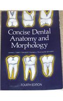 Concise Dental Anatomy and Morphology: