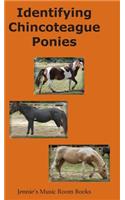 Identifying Chincoteague Ponies