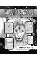 Wildlife & Nature