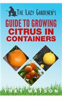 Lazy Gardener's Guide to Growing Citrus in Containers
