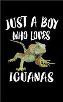 Just A Boy Who Loves Iguanas: Animal Nature Collection