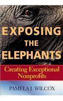 Exposing the Elephants