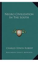 Negro Civilization in the South