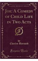 Joe: A Comedy of Child Life in Two Acts (Classic Reprint)