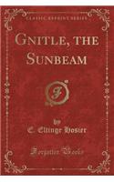 Gnitle, the Sunbeam (Classic Reprint)