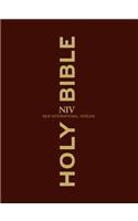 NIV Clear Print Bible