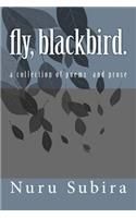 fly, blackbird.