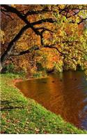 MindBlowing Nature Journal 29