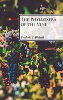 Phylloxera of the Vine