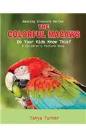 The Colorful Macaws