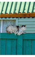 Cat on a Fence Animal Journal: 150 Page Lined Notebook/Diary