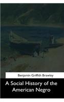 A Social History of the American Negro