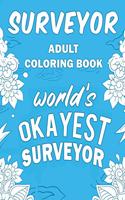 Surveyor Adult Coloring Book