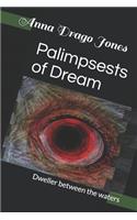 Palimpsests of Dream