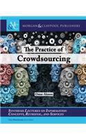 The Practice of Crowdsourcing