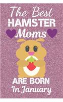 The Best Hamster Moms Are Born In January