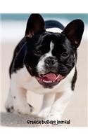 French Bulldog Journal: 7.44 x 9.69 inch dog notebook, college ruled, composition book, french bulldog notebook, 200 pages