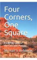 Four Corners, One Square