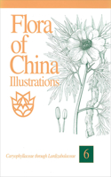 Flora of China Illustrations, Volume 6 - Caryophyllaceae through Lardizabalaceae
