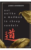 Not Unlike a Madman In Cheap Sandals