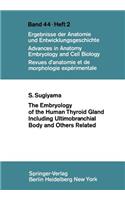 Embryology of the Human Thyroid Gland Including Ultimobranchial Body and Others Related