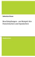 Beschimpfungen - am Beispiel des Französischen und Spanischen