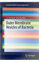 Outer Membrane Vesicles of Bacteria