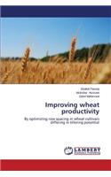 Improving wheat productivity