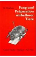 Fang Und Praparation Wirbelloser Tiere